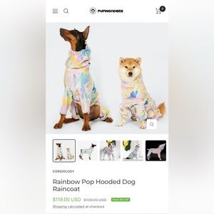 Rainbow Pop Hooded Dog Raincoat